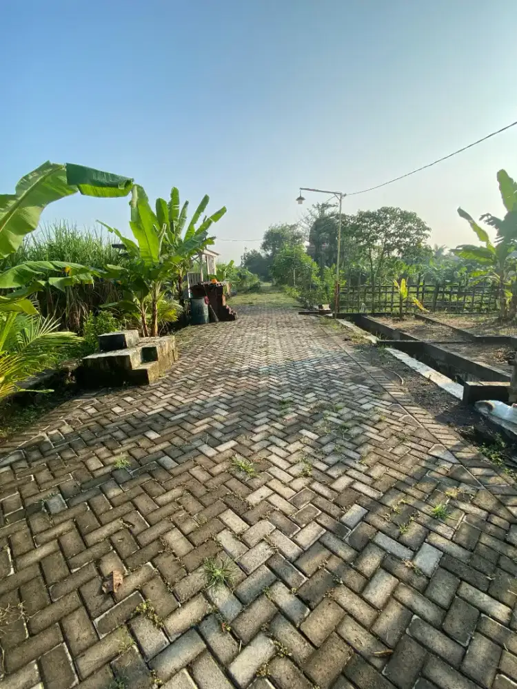 Tanah luas, Murah, Sertifikat Hak Milik