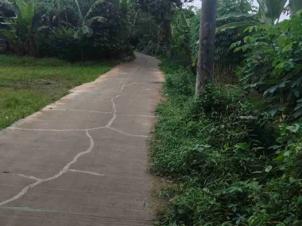 Tanah Murah BU 2300 m2 Dekat Stasiun Comuter Parung Panjang