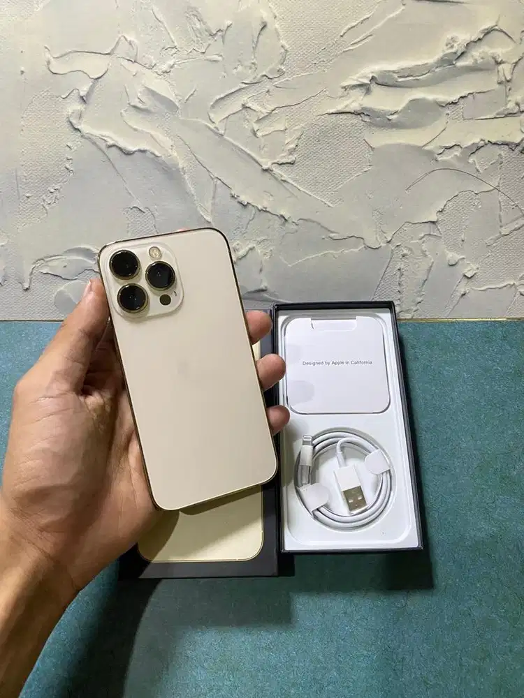 IPHONE 13 PRO 256 GB INTER