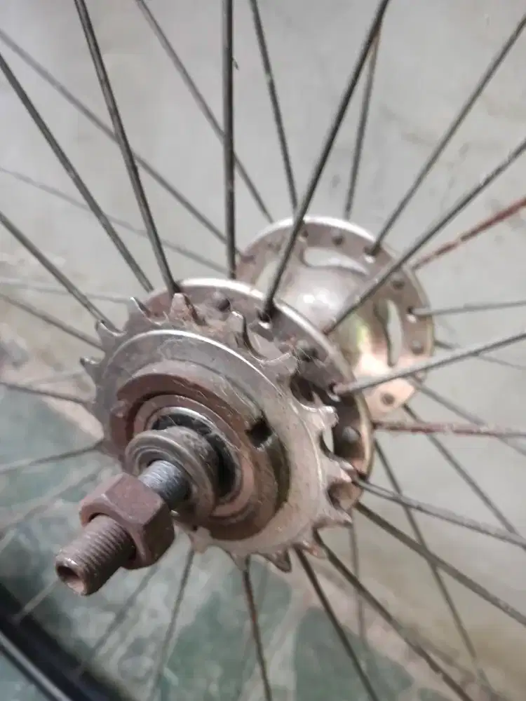 Ws belakng doltrap fixie merk novatec bearing , lengkap sesuai foto