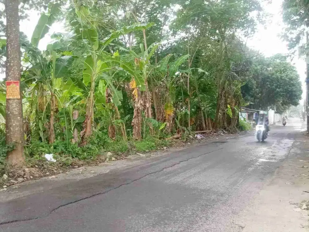 Di Sewakan Tanah kosong Barat Hotel Hyatt Jalan palagan sleman yogyakarta