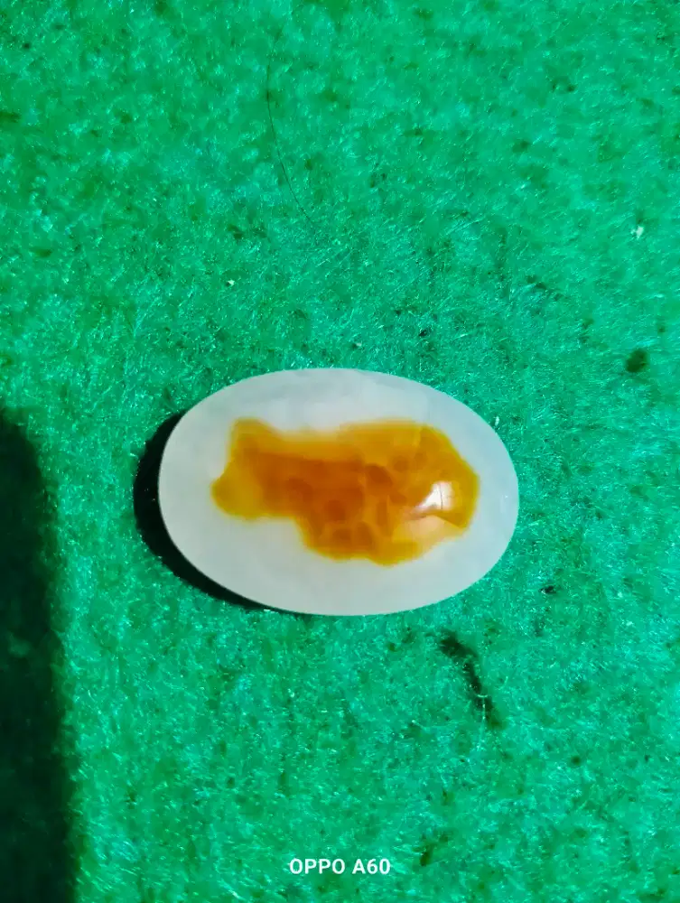 Batu akik motif ikan