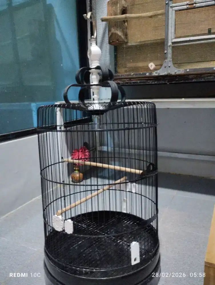 Kandang burung besar