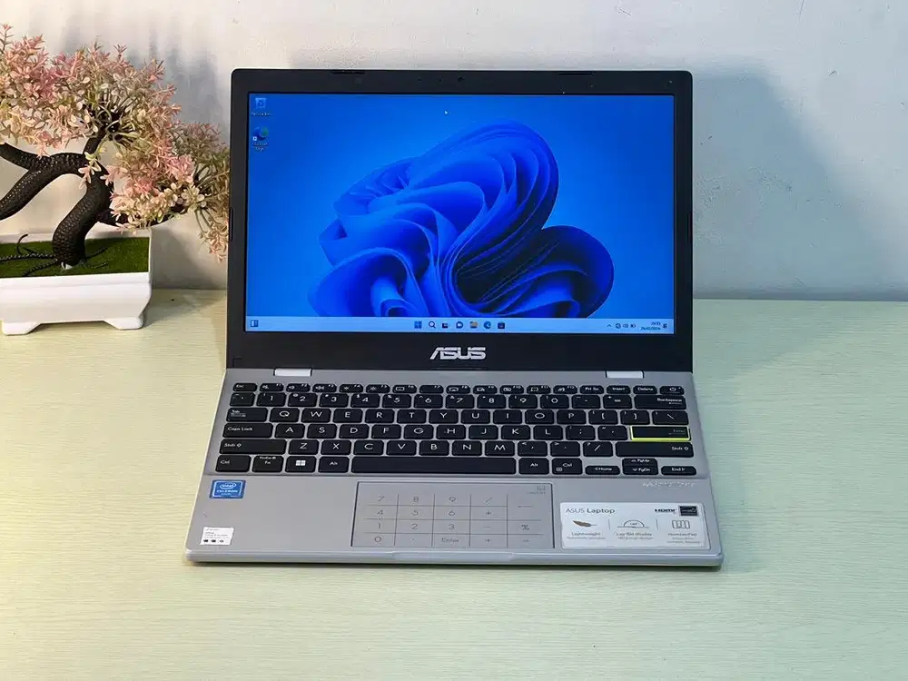 Asus E210MA N4020 4/256 GB Mulus No Minus