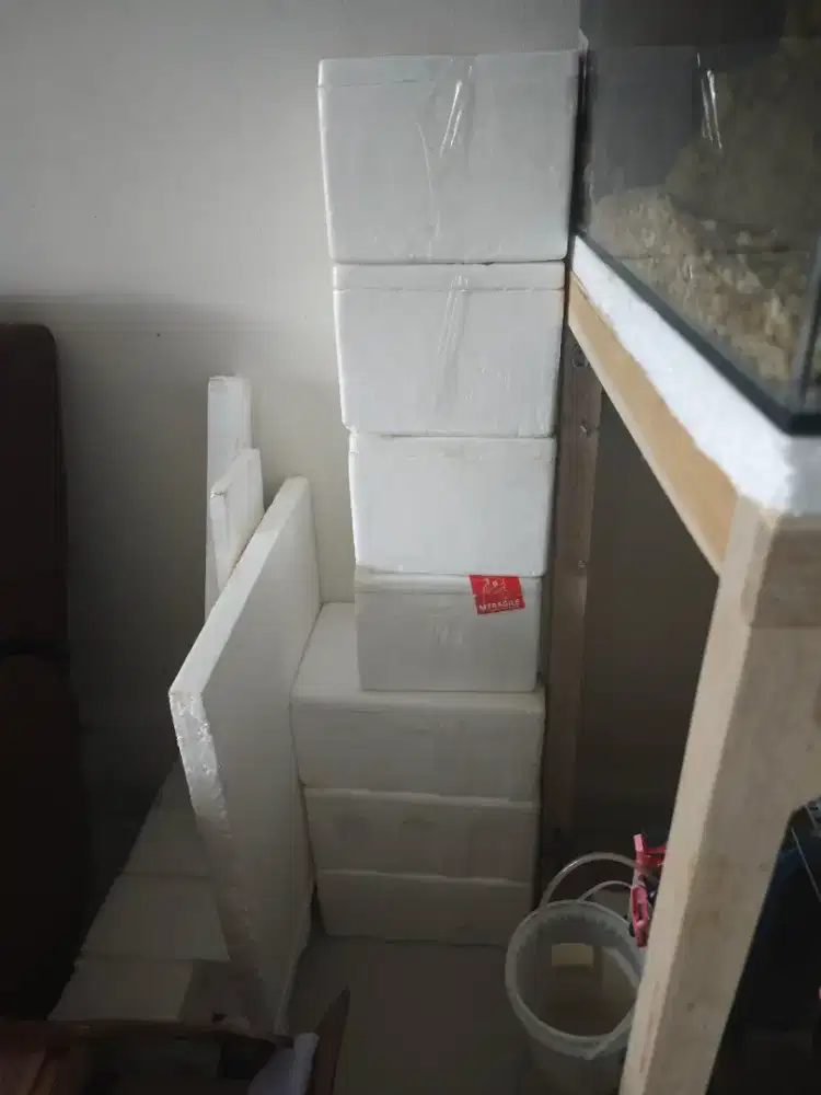 Box steorofoam bekas