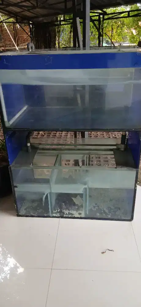 Aquarium gratis