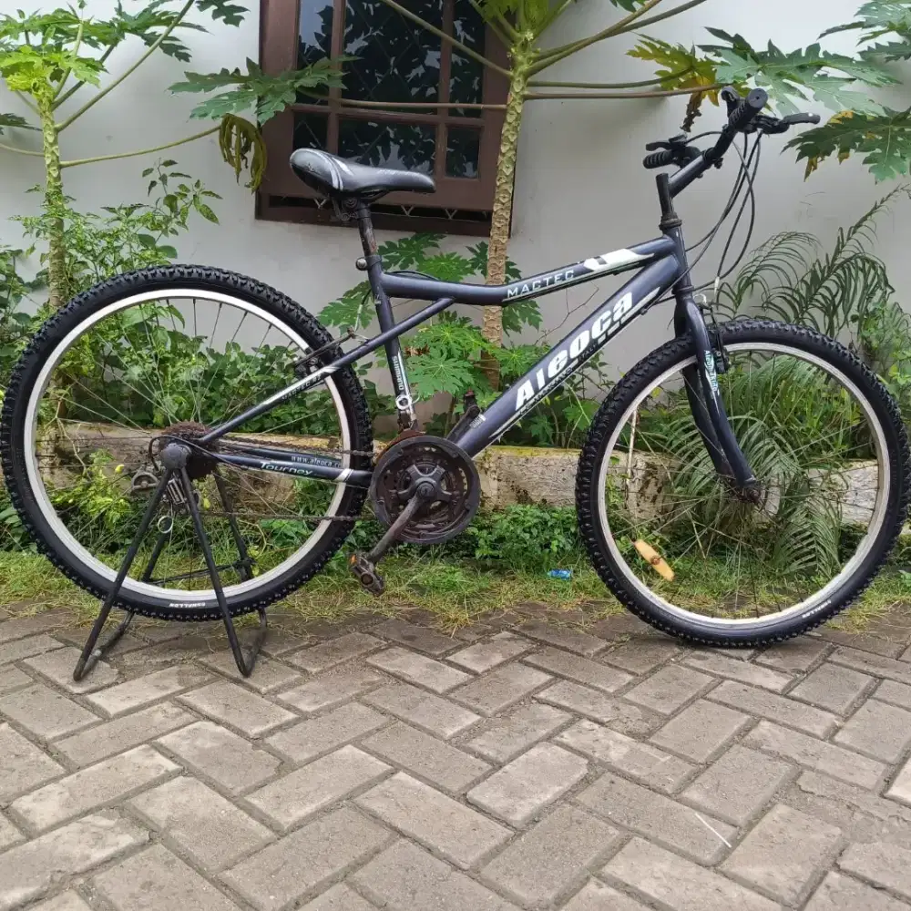 Sepeda Aleoca Mactec 26