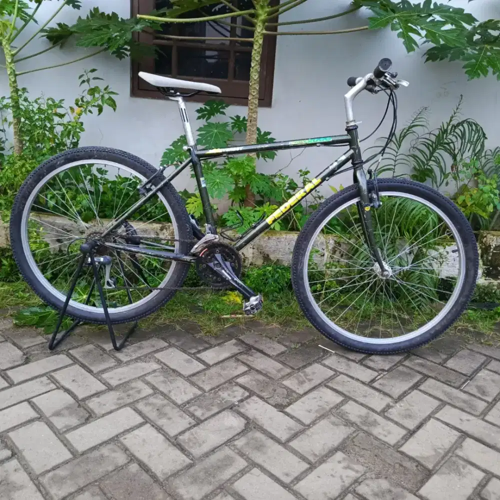 Sepeda Commuter Federal Mount Everest