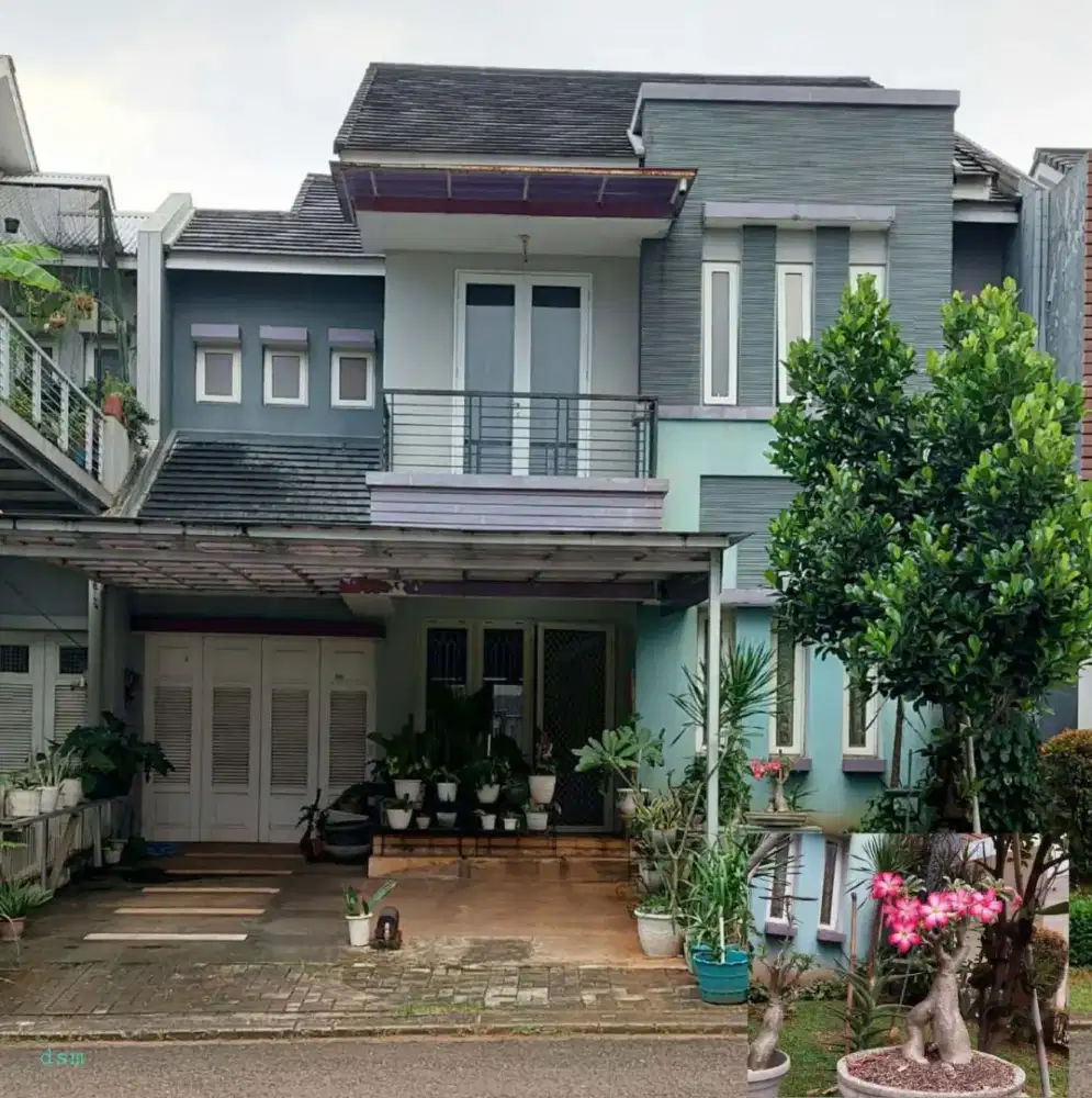 the green bsd cluster blossom ville