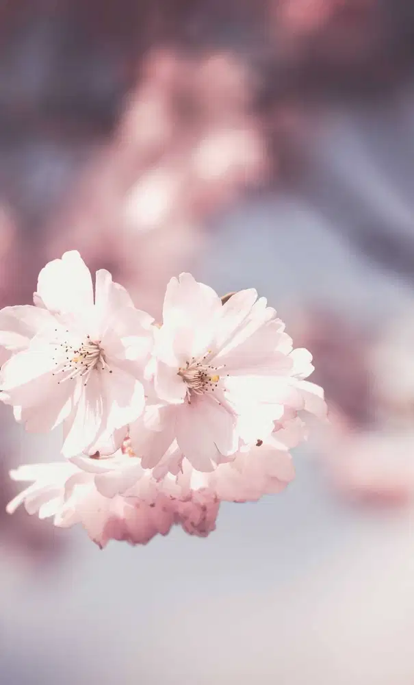 Packing Online Shop, bisa bergabung secepatnya.