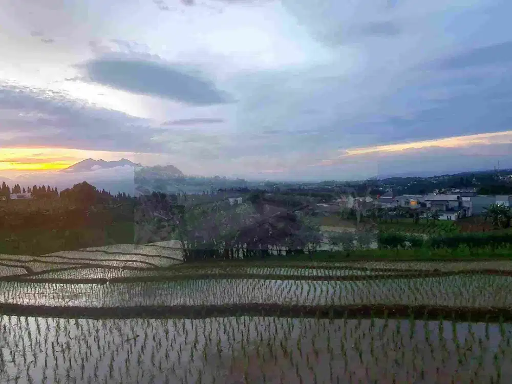 DI JUAL  !
Tanah Murah di Arca Domas,Megamendung,
View Gunung Pangrango dan Gunung Salak,Udara Alami sejuk
Bonus 2 Rumah,  1 Villa