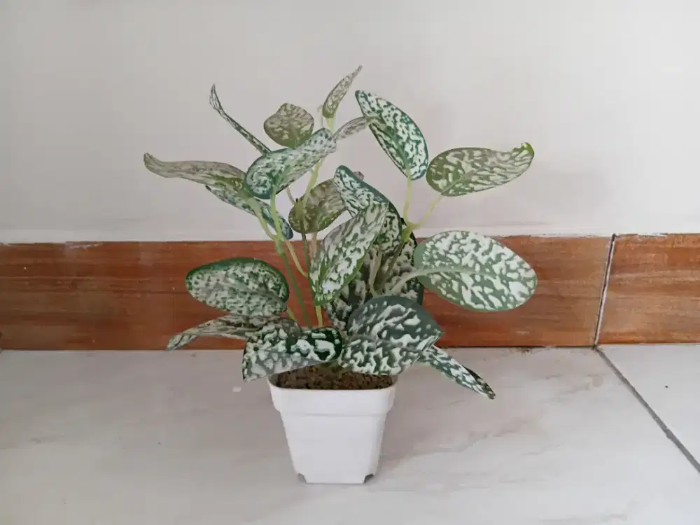 Pot Tanaman Artificial Hiasan Rumah