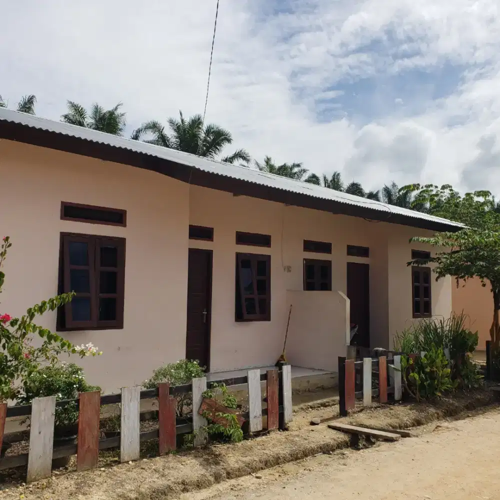 Lowongan perkebunan sawit