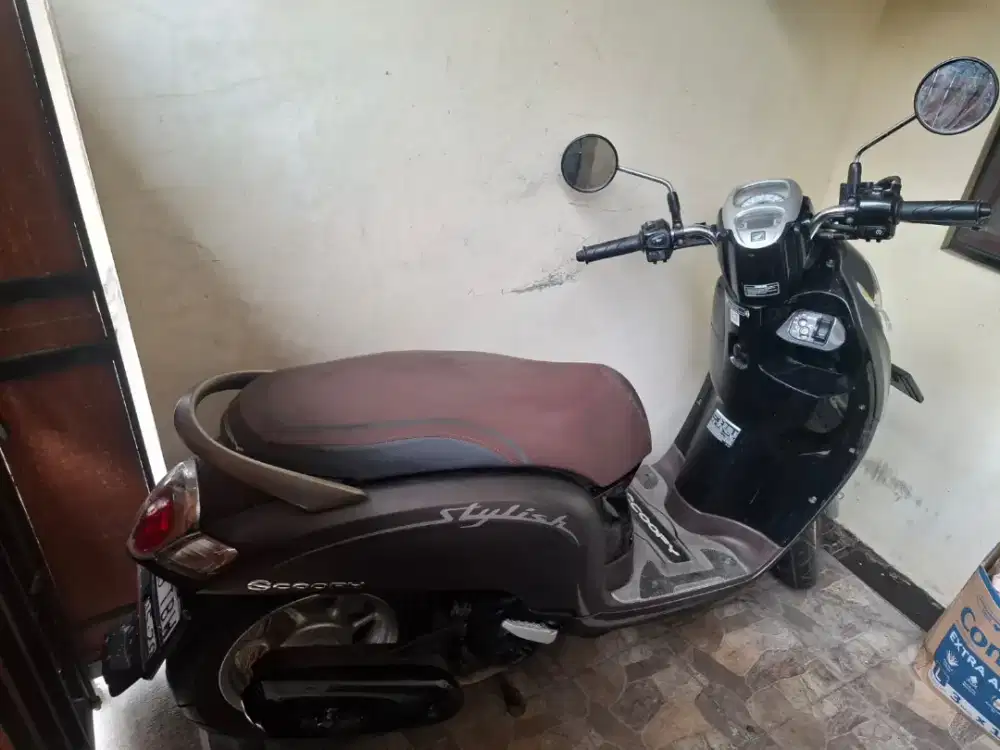 Honda Scoopy Stylish