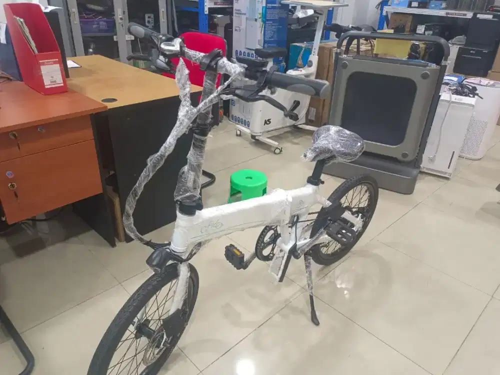 Fiido D4S Folding Electric Bike