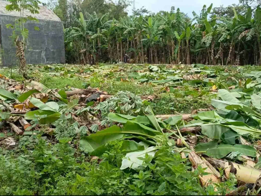 Tanah kavling jumbo siap bangun SHM split tinggal balik nama Sidoarjo kota