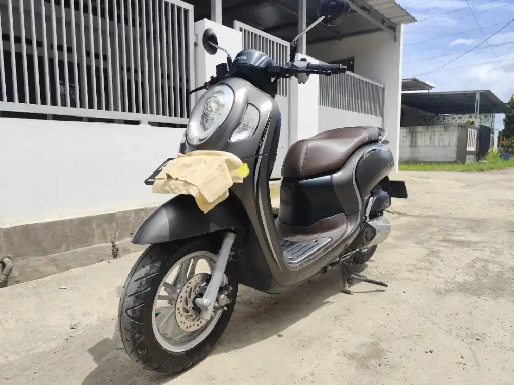 Scoopy Stylish  2022