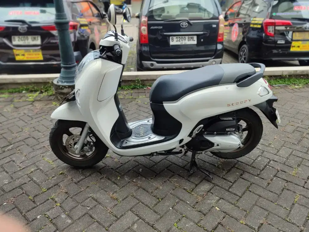 Scoopy Prestige 2025 Pajak Panjang