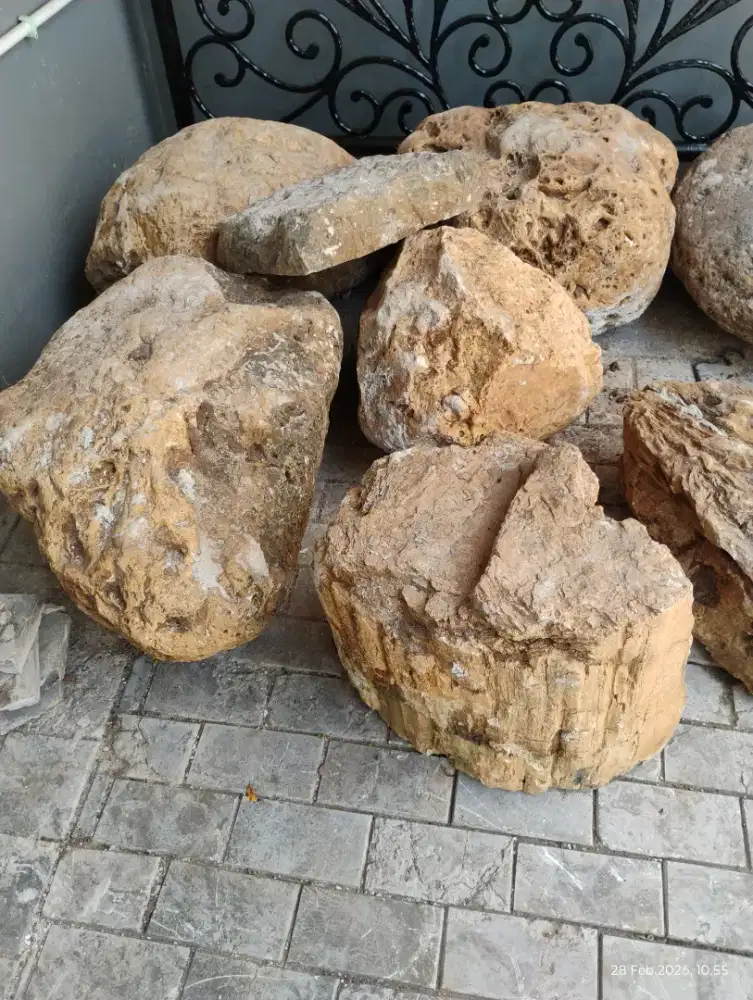 Batu kolam batu fossil