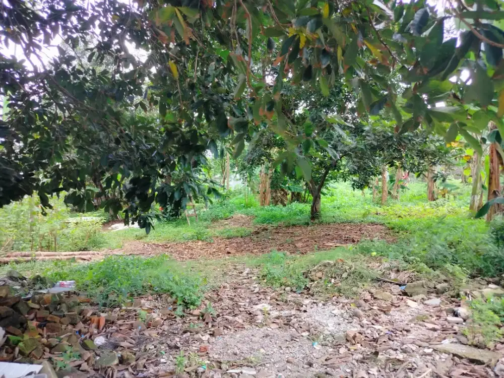 Tanah Strategis Bekasi Barat – 3.312M² Siap Dikembangkan, Harga 8 Jt/M² Nego