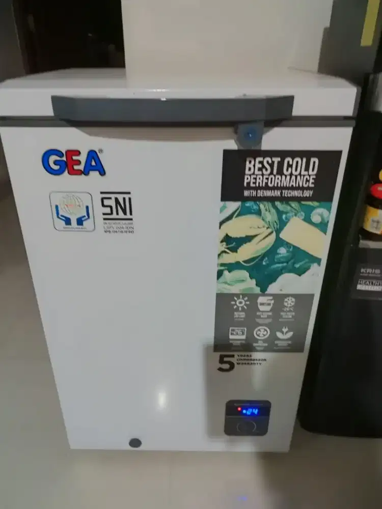 Freezer Box ukuran 100 Ltr