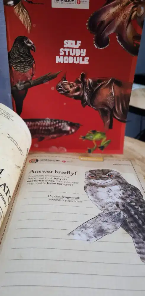 Buku mini quiz hewan  ke 1 (bahasa inggris)