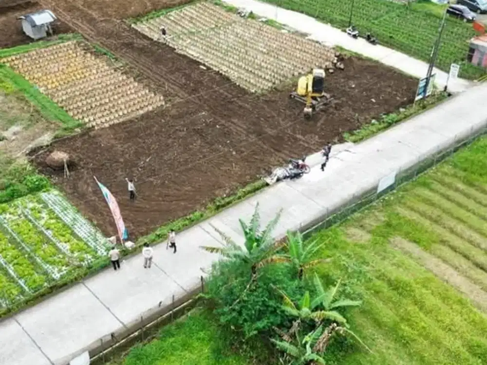 TANAH KAVLING BUKIT SEKIPAN KALISORO TAWANGMANGU KARANGANYAR