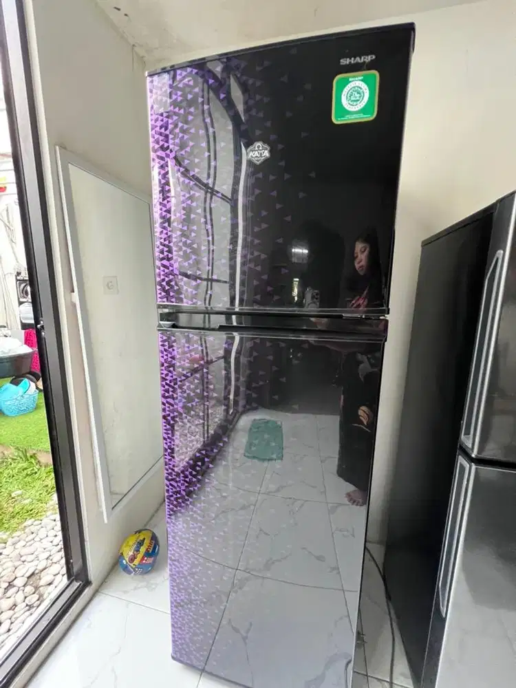 Kulkas sharp 2 pintu