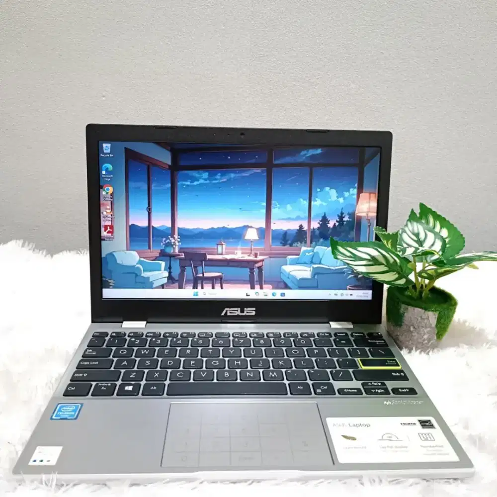 ASUS E210MA INTEL N4020 RAM 4GB SSD 256GB LAYAR 12.0 INCH PUTIH