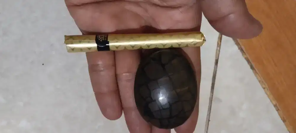 Leontin badar besi lumajang