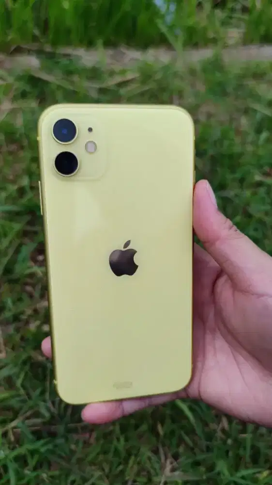 iPhone 11 ex digimap