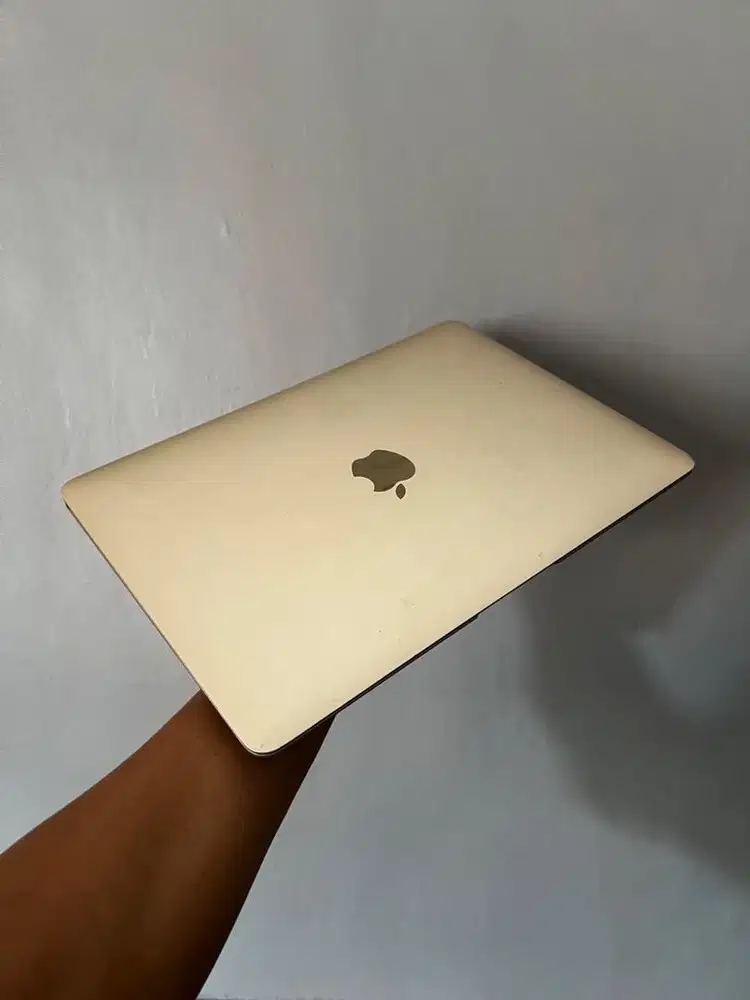Macbook Retina 12inch 255Gb