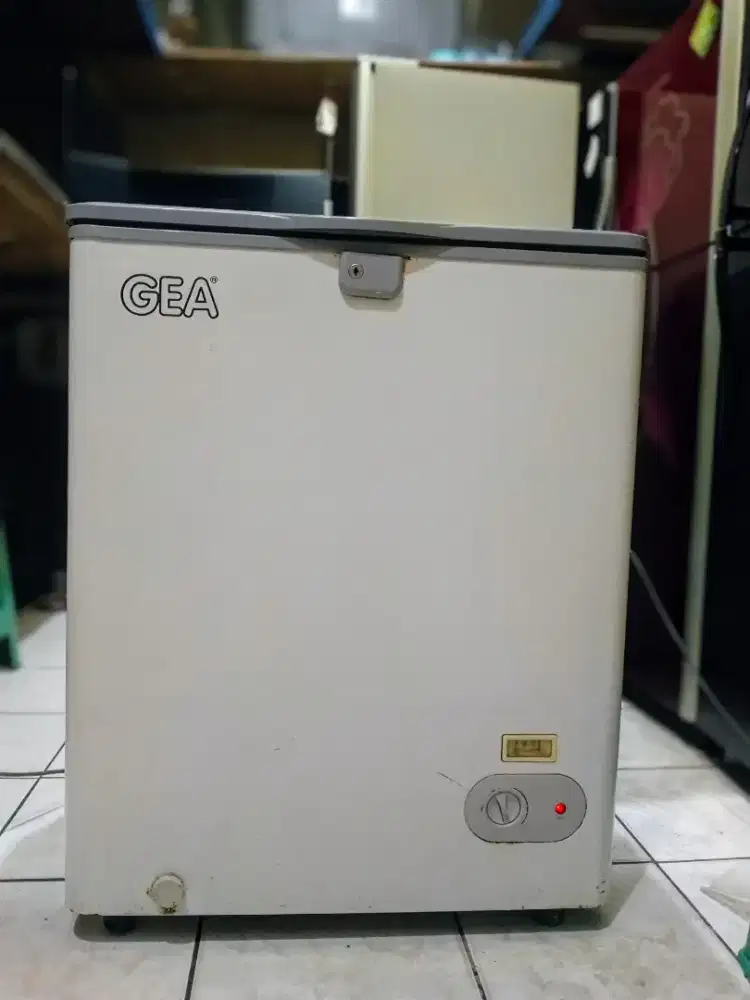 Freezer Box GEA 100L