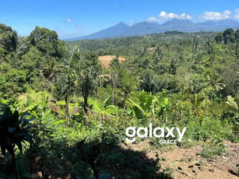 DIJUAL TANAH ZONA PEMUKIMAN DI BUAHAN KAJA PAYANGAN UBUD GIANYAR