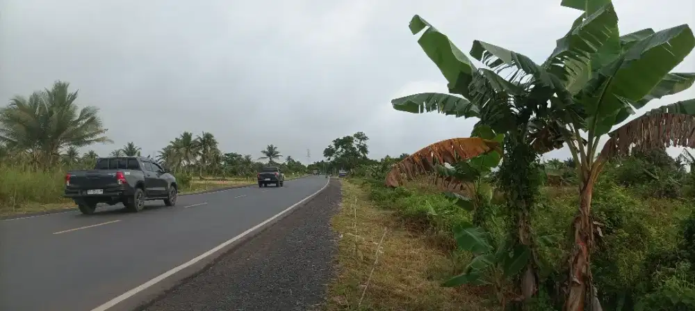 Dijual tanah SHM di Jalan lingkar utara Banjarmasin.