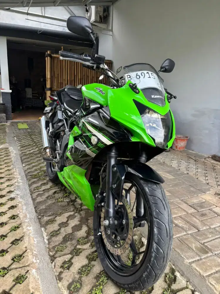 Ninja 250 RR MONO