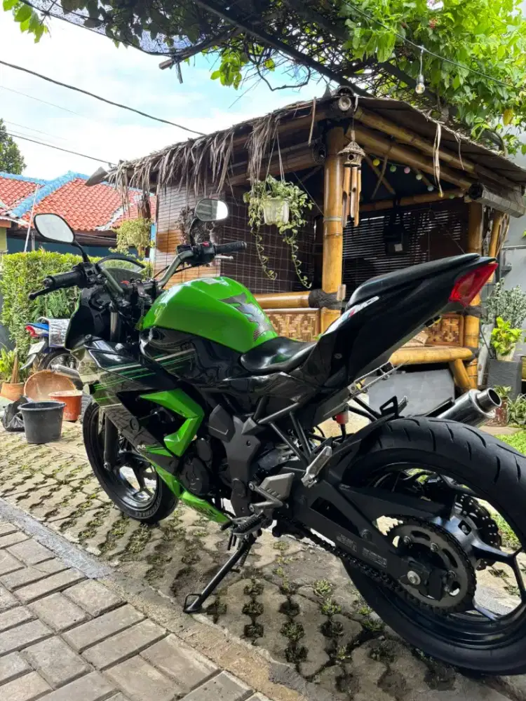 Ninja 250 RR MONO
