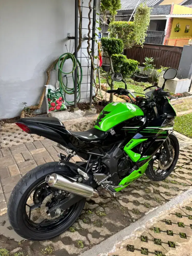 Ninja 250 RR MONO