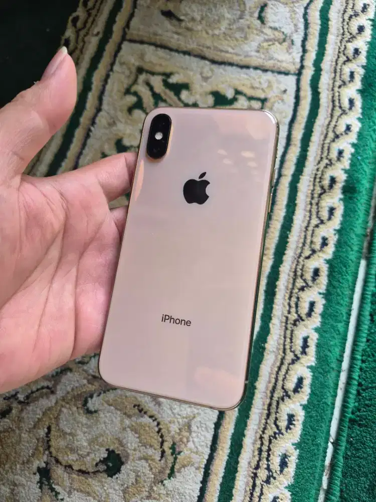 Iphone XS 256gb Normal Mulus