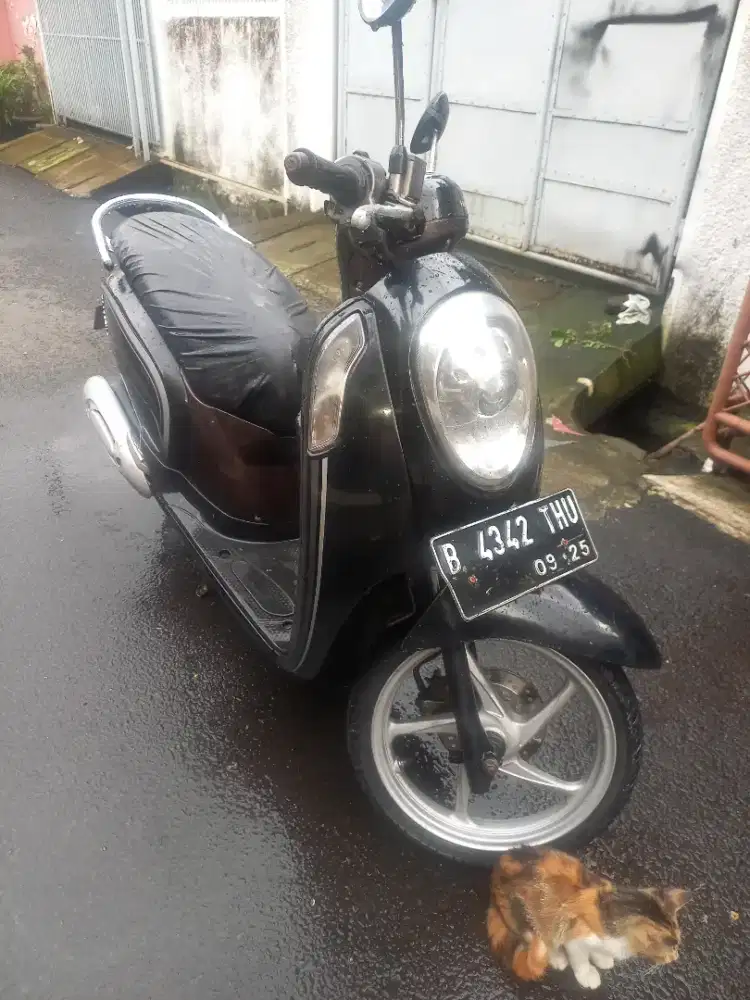 Honda scoopÿ 2015