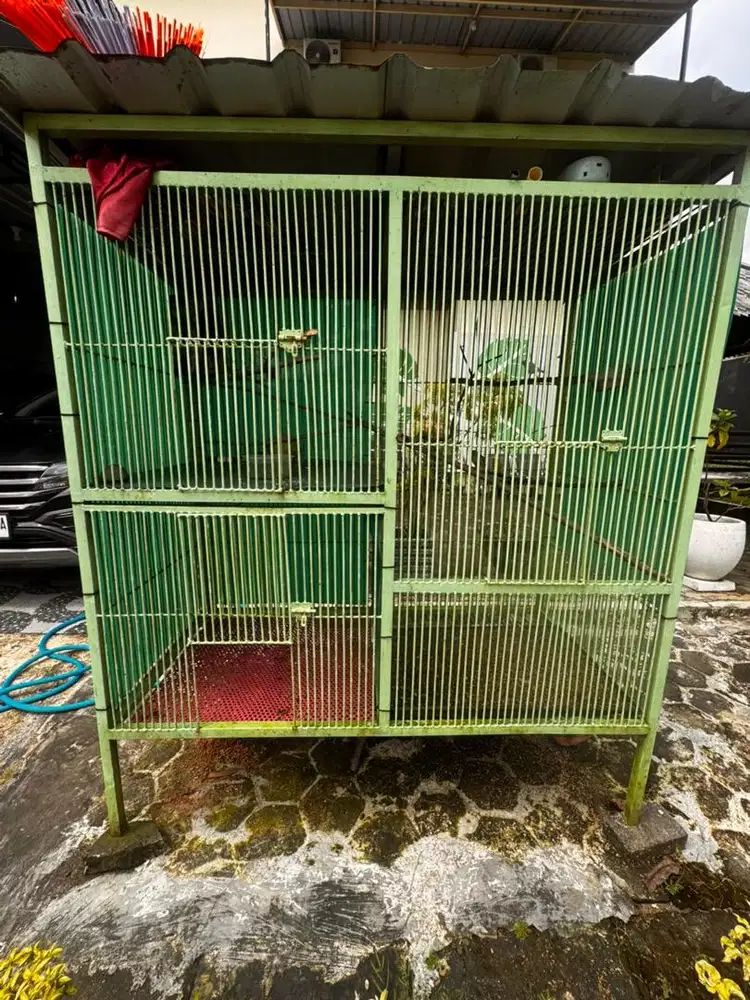 Kandang burung/kelinci/kucing