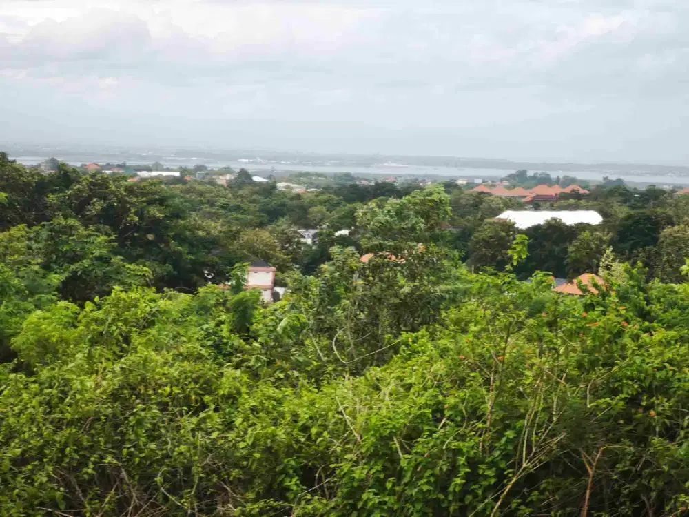 disewakan tanah  harga 22 juta /are /th Ocean view unblock dipurigading jimbaran Kuta Selatan Badung Bali