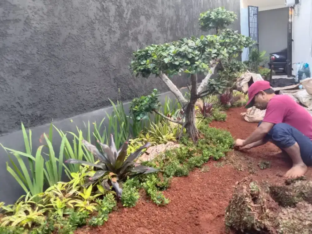 dekorasi pembuatan taman minimalis