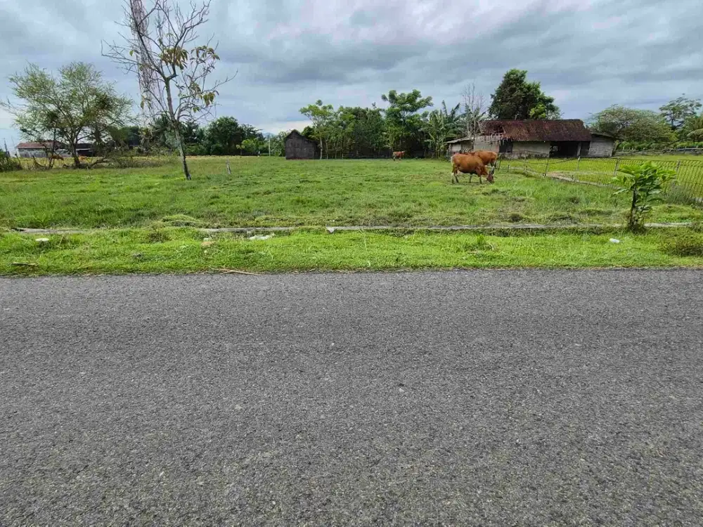 TANAH 10 ARE DEKAT PANTAI DI LELATENG AWEN DI JEMBRANA