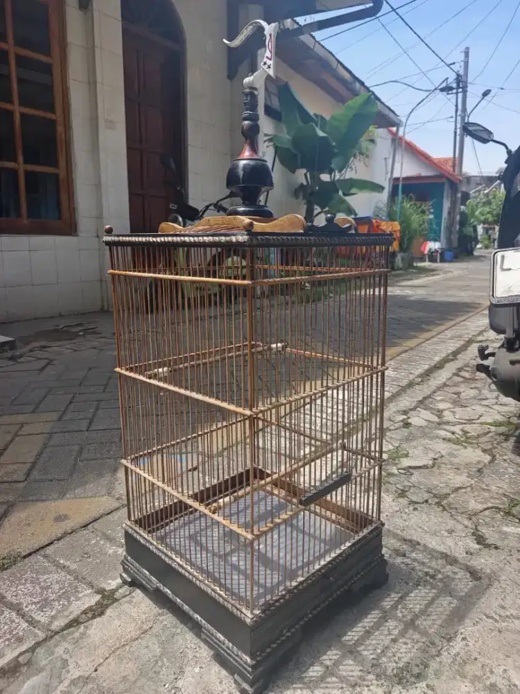 Sangkar burung ukuran 35