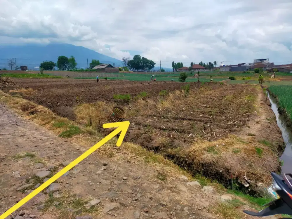 Tanah view istimewa di kota Batu