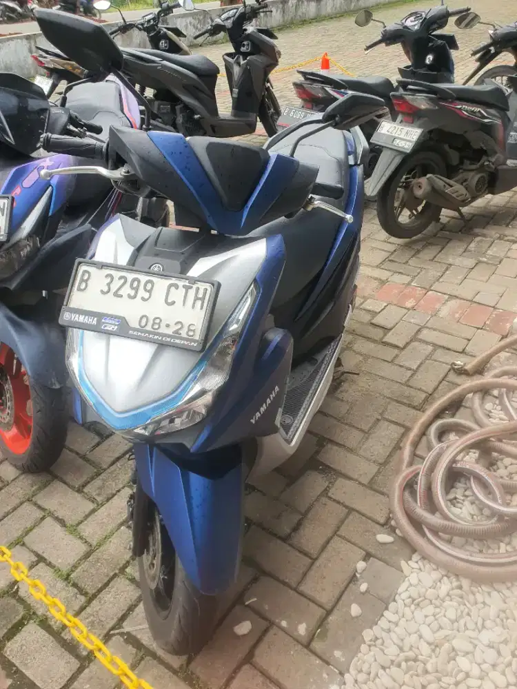 Fregoo 125 tahun 2023