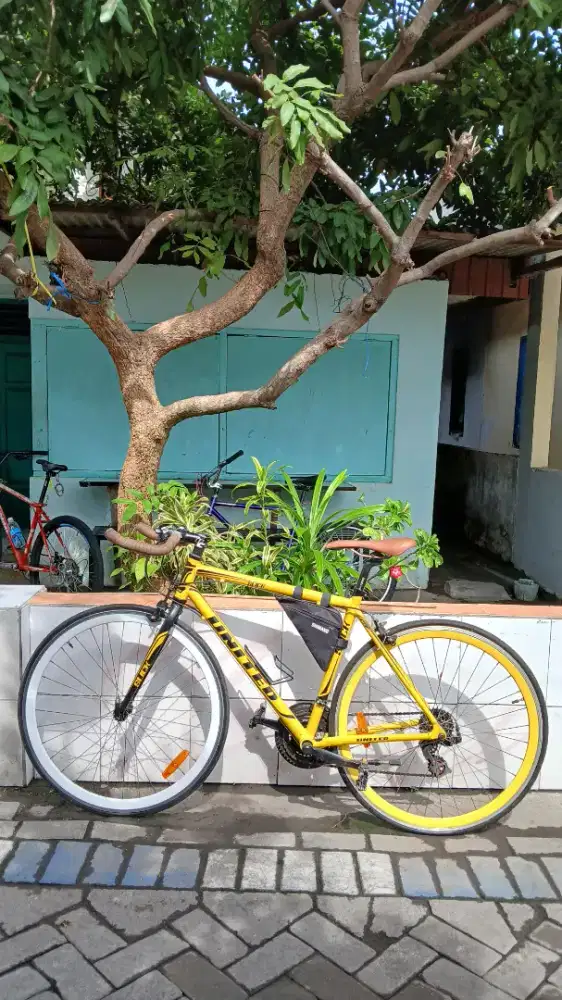 Sepeda United Slick 71