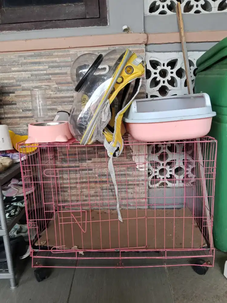 Kandang kucing bekas dan gratis asesoris