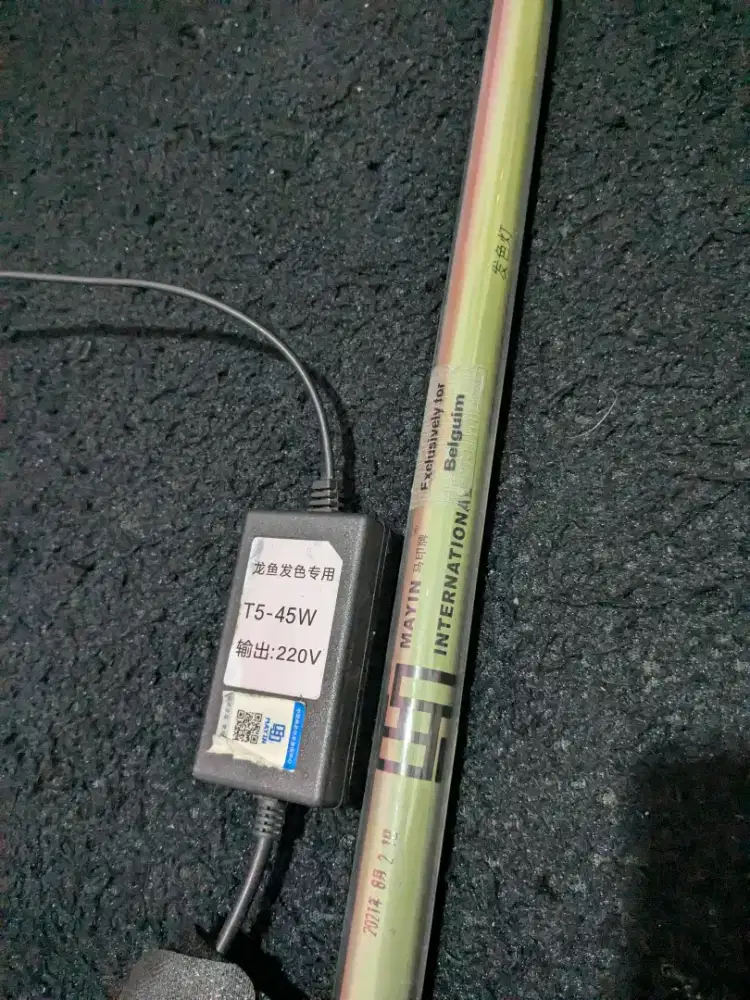 Lampu Mayin 13000K Arwana